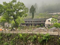 -MOJ coffee(瓯海泽雅水碓坑店)