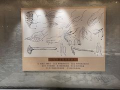 -巴音郭楞蒙古自治州博物馆