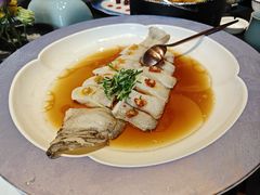 鳕鱼-金狮麟·宋宴