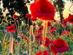 -玄武湖景区-情侣园游乐场