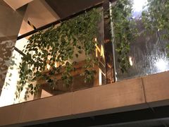 -管氏翅吧(广渠门店)