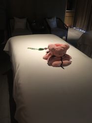 -VELEE·SPA高定疗愈会所