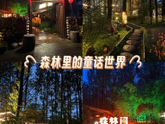 -林间山庄
