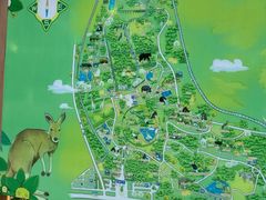 -合肥野生动物园