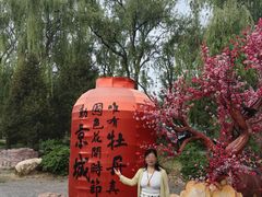 -洛阳市隋唐城遗址植物园