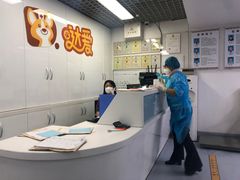 -达爱动物医院·犬猫分区·CT·复杂眼科(远洋山水分院)