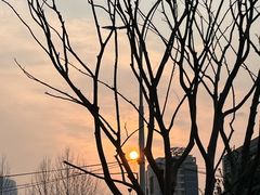 -循礼门鲜花花市(武汉循礼门店)