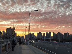 -群力丁香公园