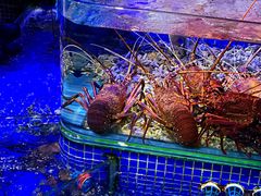 -青蓬蒸汽海鲜·深圳老字号·团建聚会(壹方城店)