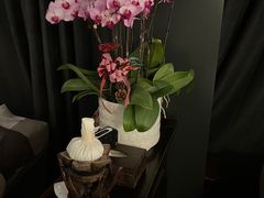 -Angkor SPA 柬埔寨古法按摩(环贸店)