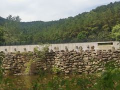 -九龙潭景区