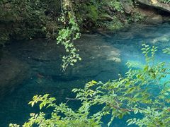 -雁荡山风景名胜区