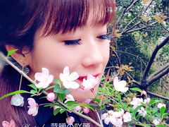 -武汉大学-樱园