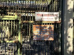 -合肥野生动物园