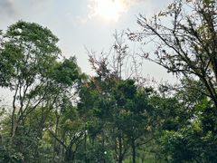 -海口观澜湖火山温泉谷