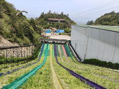 -梦幻奥陶纪景区