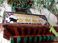 门面-古树酸奶(八廓南街店)