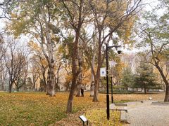 -玲珑塔公园
