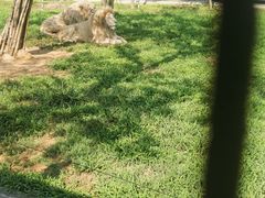 -秦皇岛野生动物园