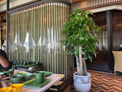 -润园四季椰子鸡火锅(海上世界店)