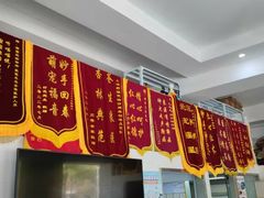 -顺强宠物诊所·狂犬免疫·夜诊·骨科(嘉定店)