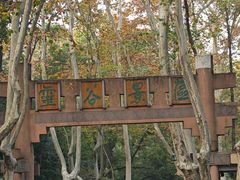 -灵谷景区