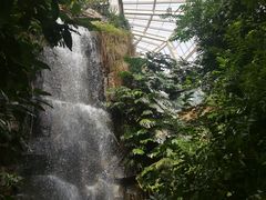 -昆明植物园