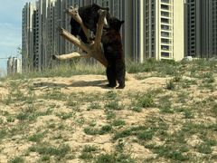-太原动物园