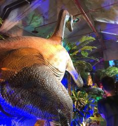 -恐龙探索乐园(磁器口店)