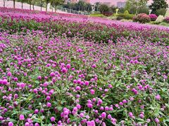 -文华公园(禅城区)