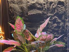 -天禧影院式足道·SPA(梅林店)