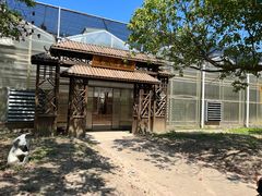 -上海都市菜园