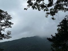 -罗田天堂寨风景区