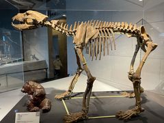 -北京周口店北京人遗址博物馆