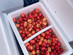 -堤口果品批发市场