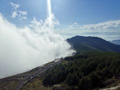 -白草畔自然风景区