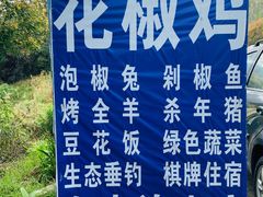 -金水泊山庄·花椒鸡(铁山坪店)