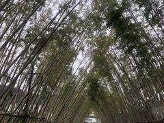 -婺源梦里老家大型山水实景演出