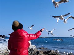 -老虎石海上公园