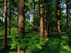 -国家植物园南园