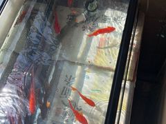 -登发花鸟鱼虫市场