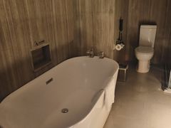 -常州环球恐龙城维景国际大酒店