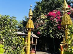 -品德宏·孔雀宴的发源地(金塔园店)