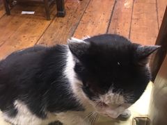 -郭家大院(新源店)