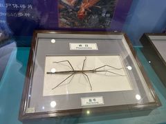 -上海昆虫博物馆