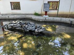 -红螺寺
