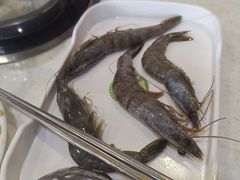 -伊尔曼都自助餐厅(102国道店)