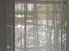 -徐记海鲜(南油永新汇店)