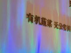 -烹然四季椰子鸡火锅(姚家园万象汇店)
