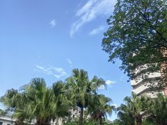 -四川大学(望江校区)